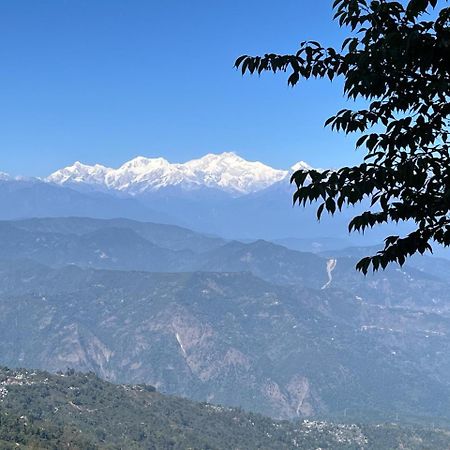 Forest Lodge - 80 Mts From Mall Road Darjeeling  Exteriör bild