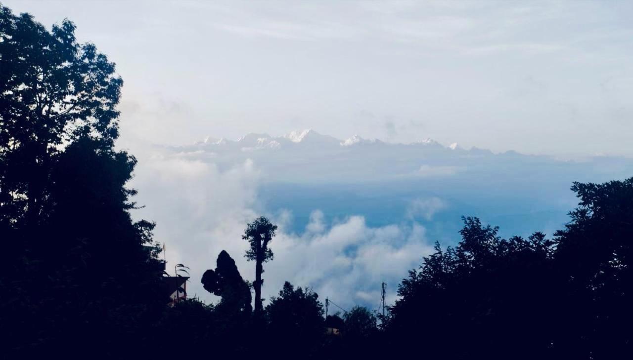 Forest Lodge - 80 Mts From Mall Road Darjeeling  Exteriör bild