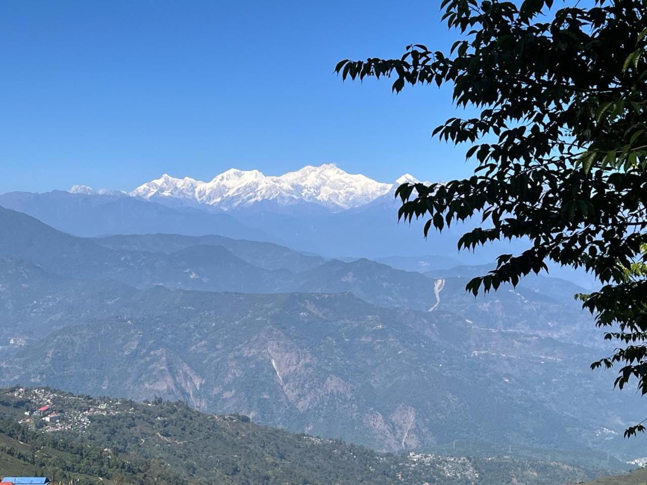 Forest Lodge - 80 Mts From Mall Road Darjeeling  Exteriör bild